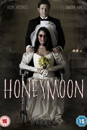 Honeymoon (Luna de Miel) (2015) บรรยายไทย